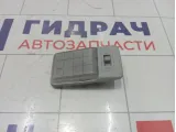 Плафон салонный Great Wall Hover H5 4123200K0000CV