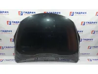 Капот Great Wall Hover H5 8402100K80.