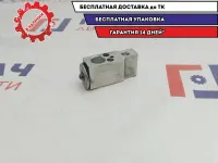 Клапан кондиционера Great Wall Hover H5 8106000K00C1.