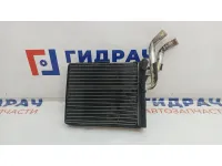 Радиатор отопителя Great Wall Hover H5 8101100K00.