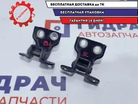 Петли двери задней левой Great Wall Hover H5 .