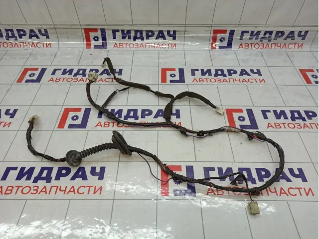 Проводка двери задней левой Great Wall Hover H5 4002330K80