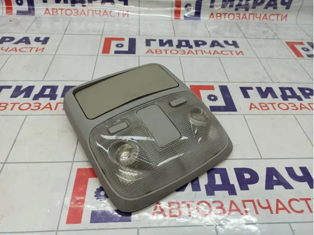 Плафон салонный Great Wall Hover H5 4124200K0000CV