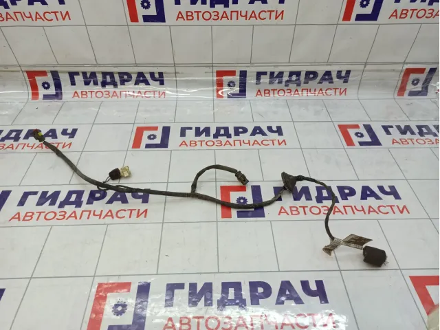 Проводка двери багажника Great Wall Hover H5 4013500K80