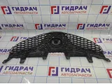 Решетка радиатора Great Wall Hover H5 2803311K80.
