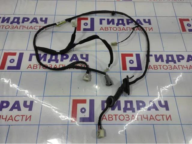 Проводка (коса) двери задней левой Great Wall Hover H5 4002330K80.