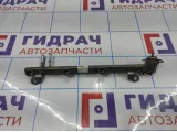 Рейка топливная (рампа) Great Wall Hover H5 SMW250442.