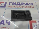 Подставка под ногу водительская Great Wall Hover H5 8206101K00.