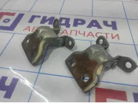 Петли двери задней левой Great Wall Hover H5 . Комплект.