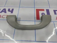 Ручка внутренняя потолочная Great Wall Hover H5 8200210K000803.