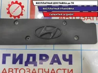 Накладка декоративная Hyndai i30 22405-2B000.