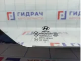 Стекло двери сдвижной Hyundai Grand Starex (TQ) 87820-4H010.