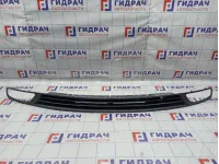 Решетка в бампер Hyundai Grand Starex (TQ) 86585-4H000. Дефекты.