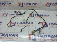Проводка двери багажника Hyundai Grand Starex (TQ) 91602-4H020.