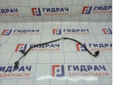Датчик ABS задний правый Hyundai Grand Starex (TQ) 95680-4H000.