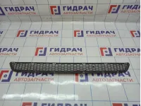 Решетка в бампер центральная Hyundai Grand Starex (TQ) 86580-4H000. Дефект.