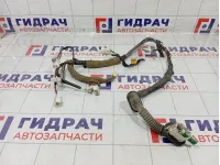 Проводка двери передней левой Haima 3 HA0067190M1