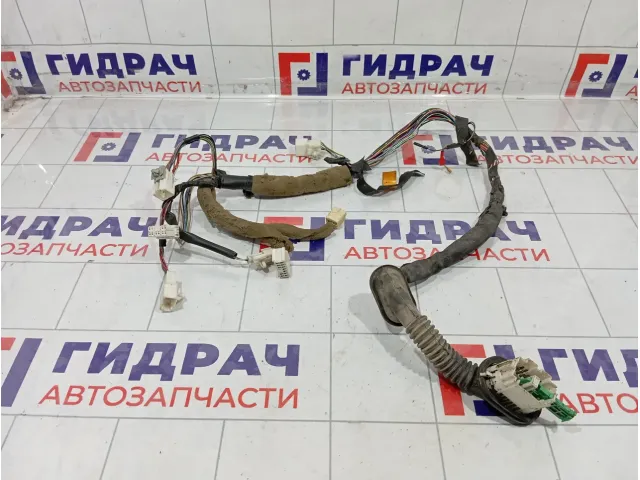 Проводка двери передней левой Haima 3 HA0067190M1