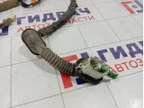 Проводка двери передней левой Haima 3 HA0067190M1