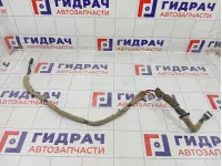 Проводка двери багажника Haima 3 HA0167060M1