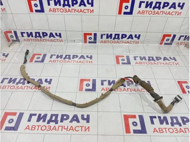 Проводка двери багажника Haima 3 HA0167060M1