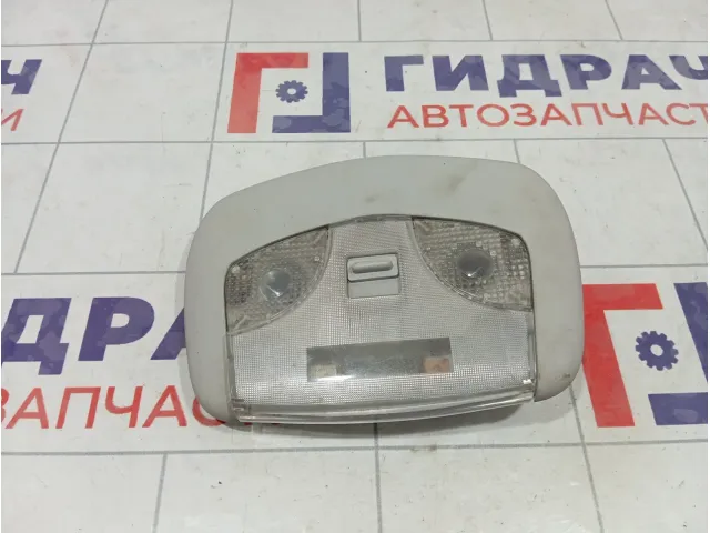 Плафон салонный Haima 3 HA0051310M106