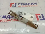 Петля капота левая Haima 3