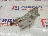 Петля капота левая Haima 3
