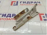 Петля капота левая Haima 3