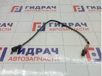 Датчик кислородный Haima 3