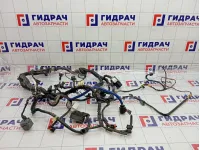 Проводка двигателя Haima 3