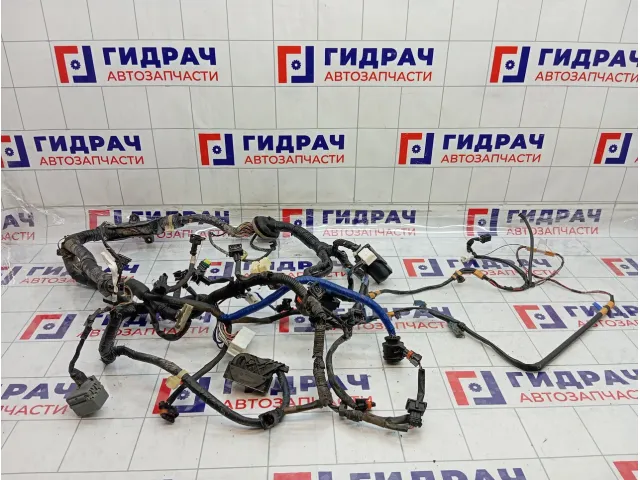 Проводка двигателя Haima 3