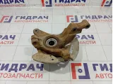 Кулак поворотный передний правый Haima 3