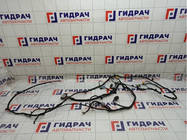 Проводка потолочная Haval F7 4002105XKQ10A