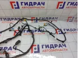 Проводка потолочная Haval F7 4002105XKQ10A
