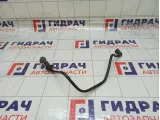 Трубка вакуумная тормозная Haval F7