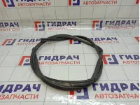 Уплотнитель капота Haval F7