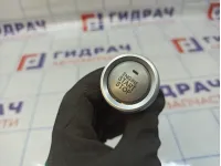 Кнопка запуска двигателя Haval F7x 23608200XKW09A