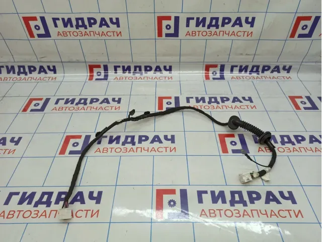 Проводка двери багажника Haval F7x 24013100XKQ05A