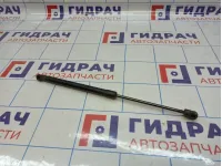 Амортизатор капота Haval F7x 28402128XKQ00A