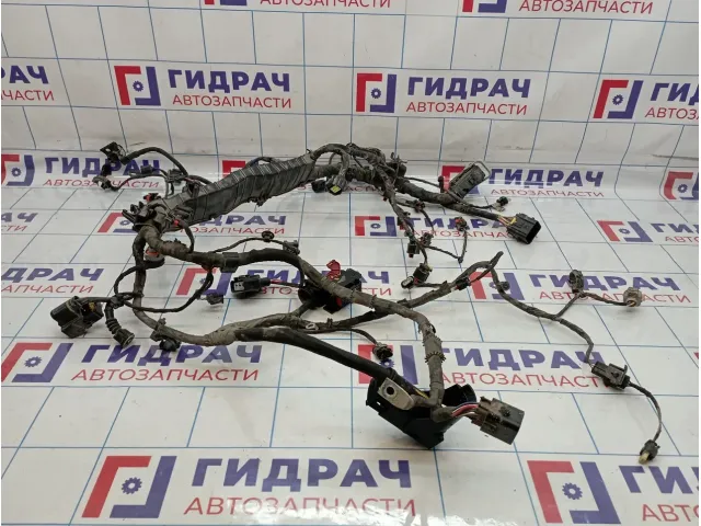 Проводка (коса) моторная Haval F7x 2