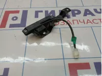 Антенна Haval F7x 23608540XKZ16A