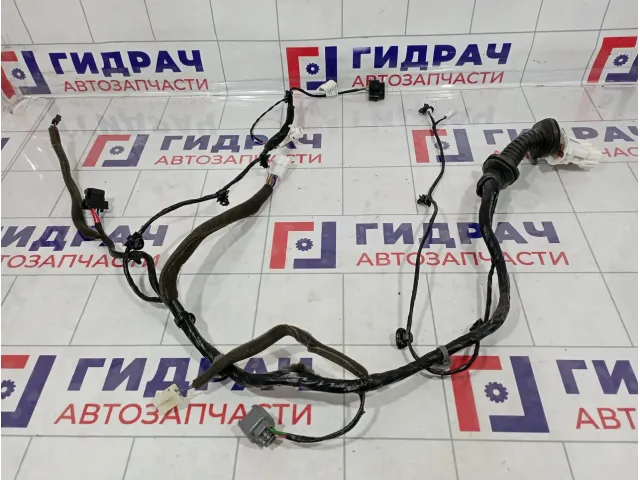 Проводка двери передней правой Haval H6 4002600AKZ54B