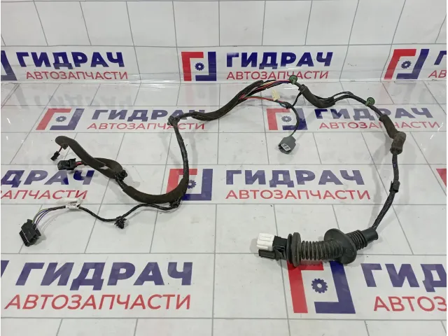Проводка двери задней правой Haval H6 4002800AKZ36A
