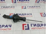 Амортизатор задний левый Haval H6 2915100AKZ16A