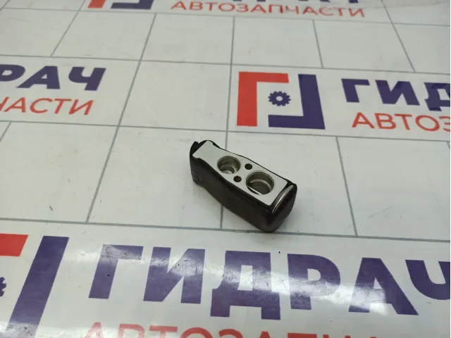 Клапан кондиционера Haval H6 8100242XJZ08A