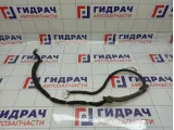 Проводка двери багажника Haval H6 4013230AKZ54A