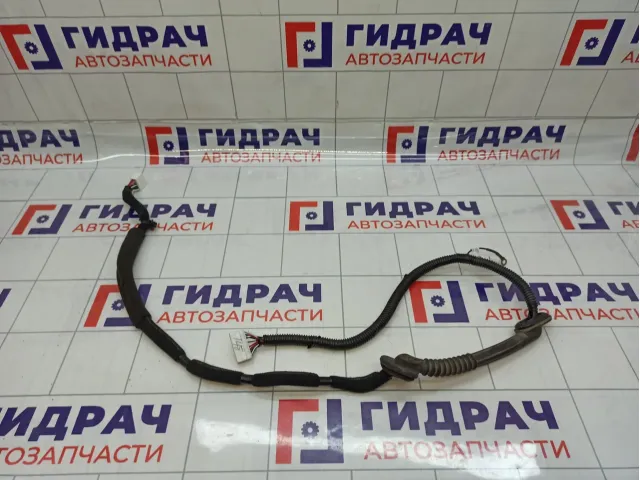 Проводка двери багажника Haval H6 4013230AKZ54A