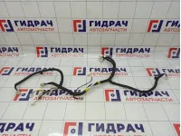 Проводка двери багажника Haval H6 C155040130