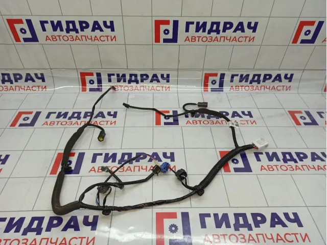 Проводка двери багажника Haval H6 4013100AKZ54A